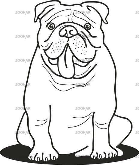 Photo bulldog for coloring book image dog coloring page bulldog drawing puppy coloring pages