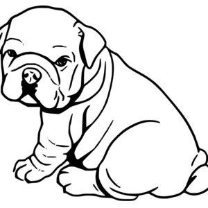 Bulldog coloring pages printable for free download