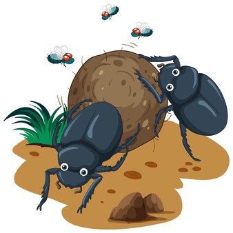 Vector e ilustracion de carabajo tierra para dcargar gratis