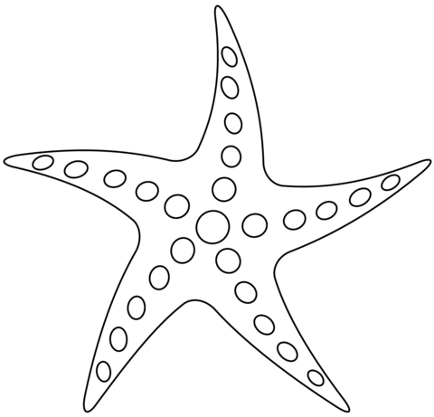 Dibujo de estrella de mar para colorear dibujos para colorear imprimir gratis