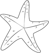 Dibujos de estrella de mar para colorear