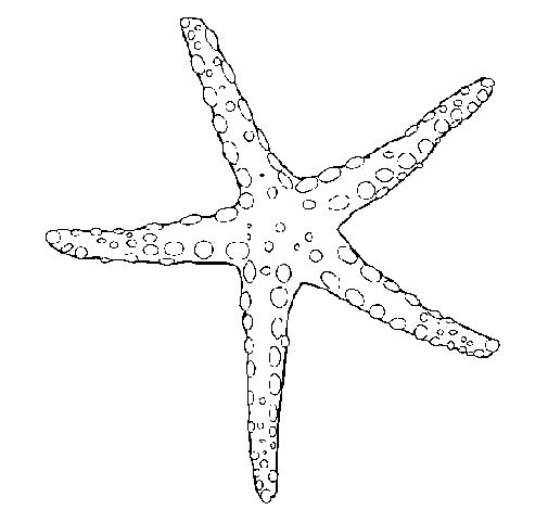 Starfish star coloring pages coloring pages mermaid coloring pages