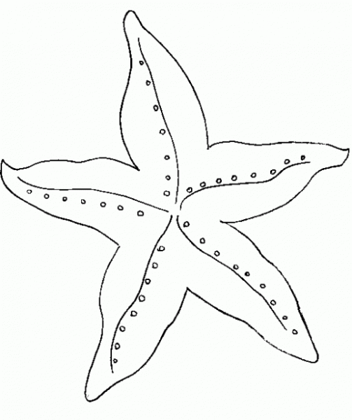 Dibujos estrella de mar para colorear coloring pages coloring pages to print stencils