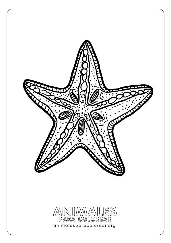 Estrellas de mar para colorear descarga e imprime gratis