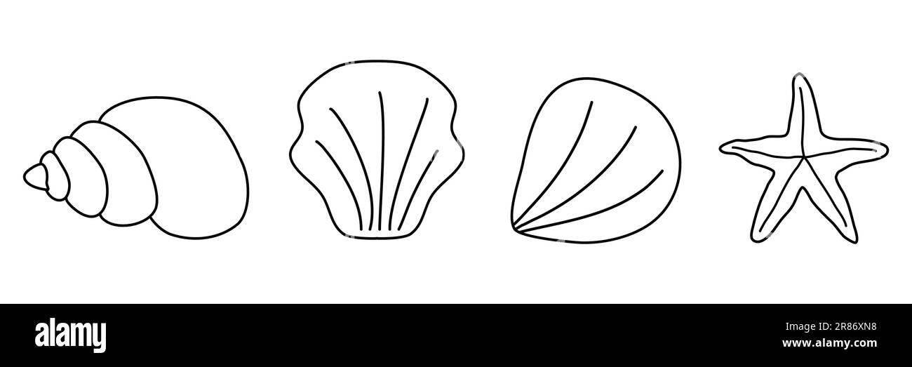 Diferent conchas de mar y trella de mar en una fila tilo doodle ilustraciãn de contorno vectorial plano para niãos para colorear libro imagen vector de stock