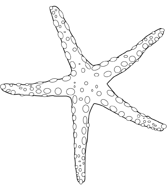 Dibujo de estrella de mar para colorear y pintar