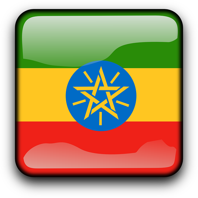 Download ethiopia flag country royalty