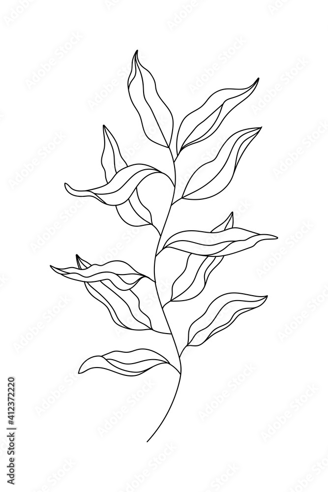 Outline eucalyptus willow tree branch with leaves floral minimalistic style line art plant botanical contour vector element isolated for design print poster logo invitation card coloring page vector