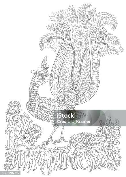 Vector fantasy ornate lyrebird in the jungle passion flower eucalyptus leaves tshirt print adults and children coloring book page stock illustration