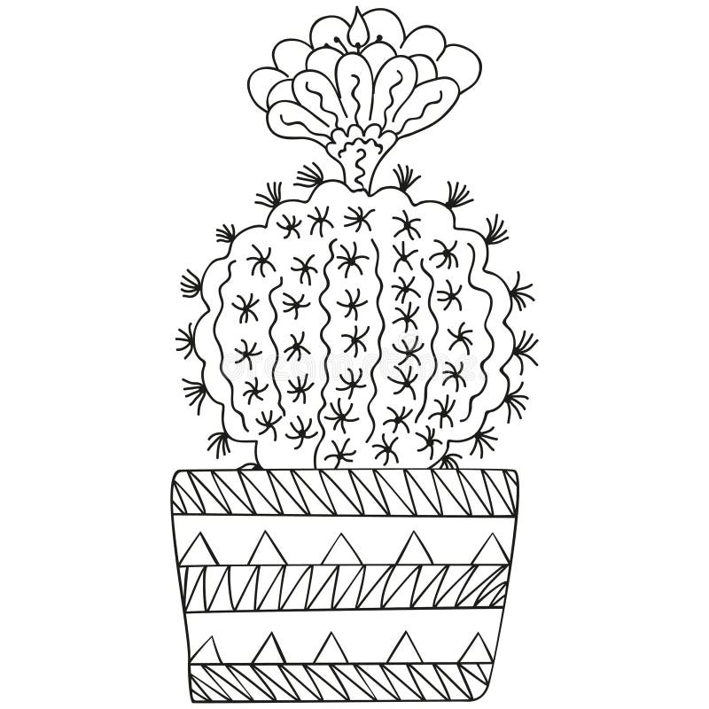 Euphorbia cactus stock illustrations â euphorbia cactus stock illustrations vectors clipart