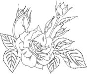 Roses coloring pages free coloring pages