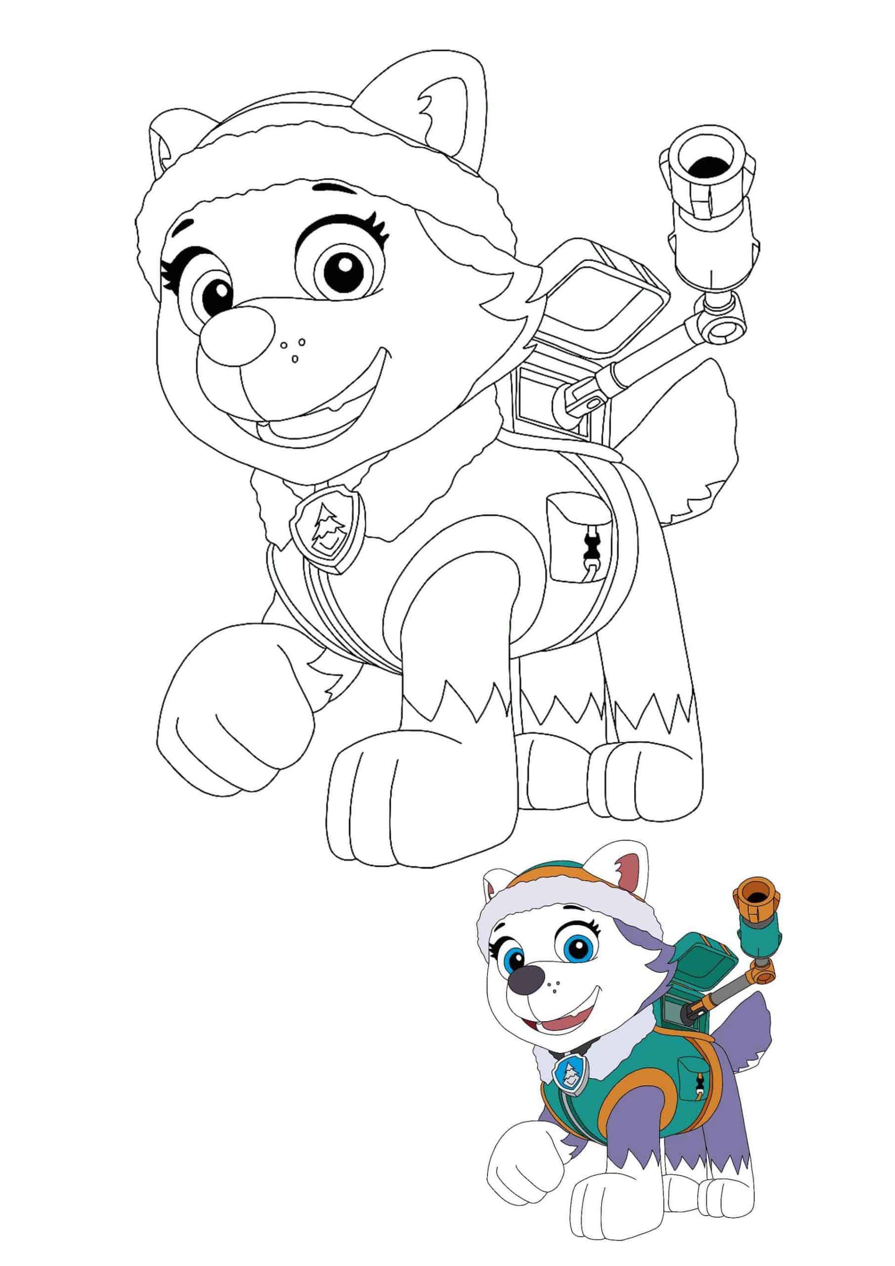 Paw patrol everest coloring pages paw patrol coloring paw patrol coloring pages everest paw patrol