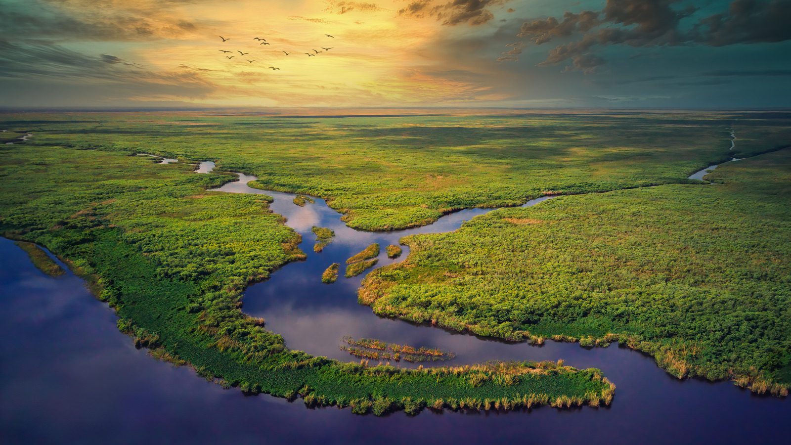 Download everglades national park wallpapers Bhmpics