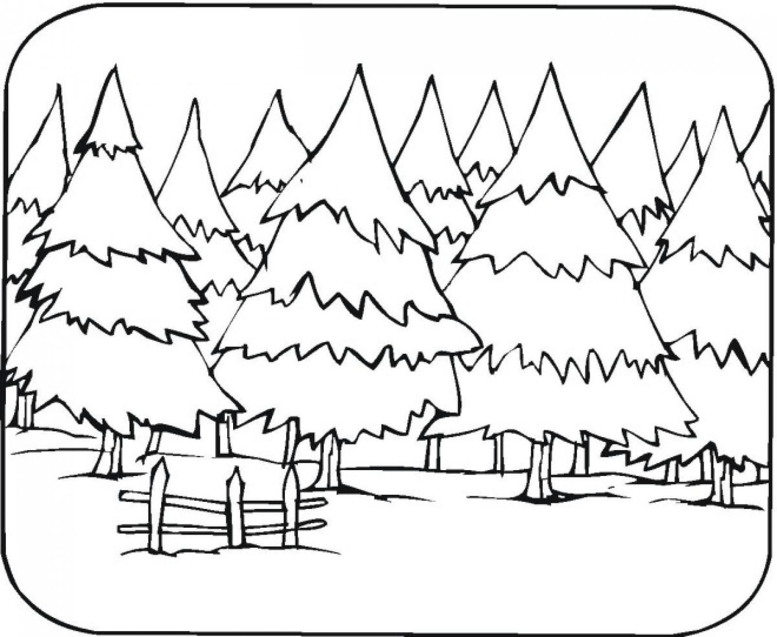 Forest coloring pages