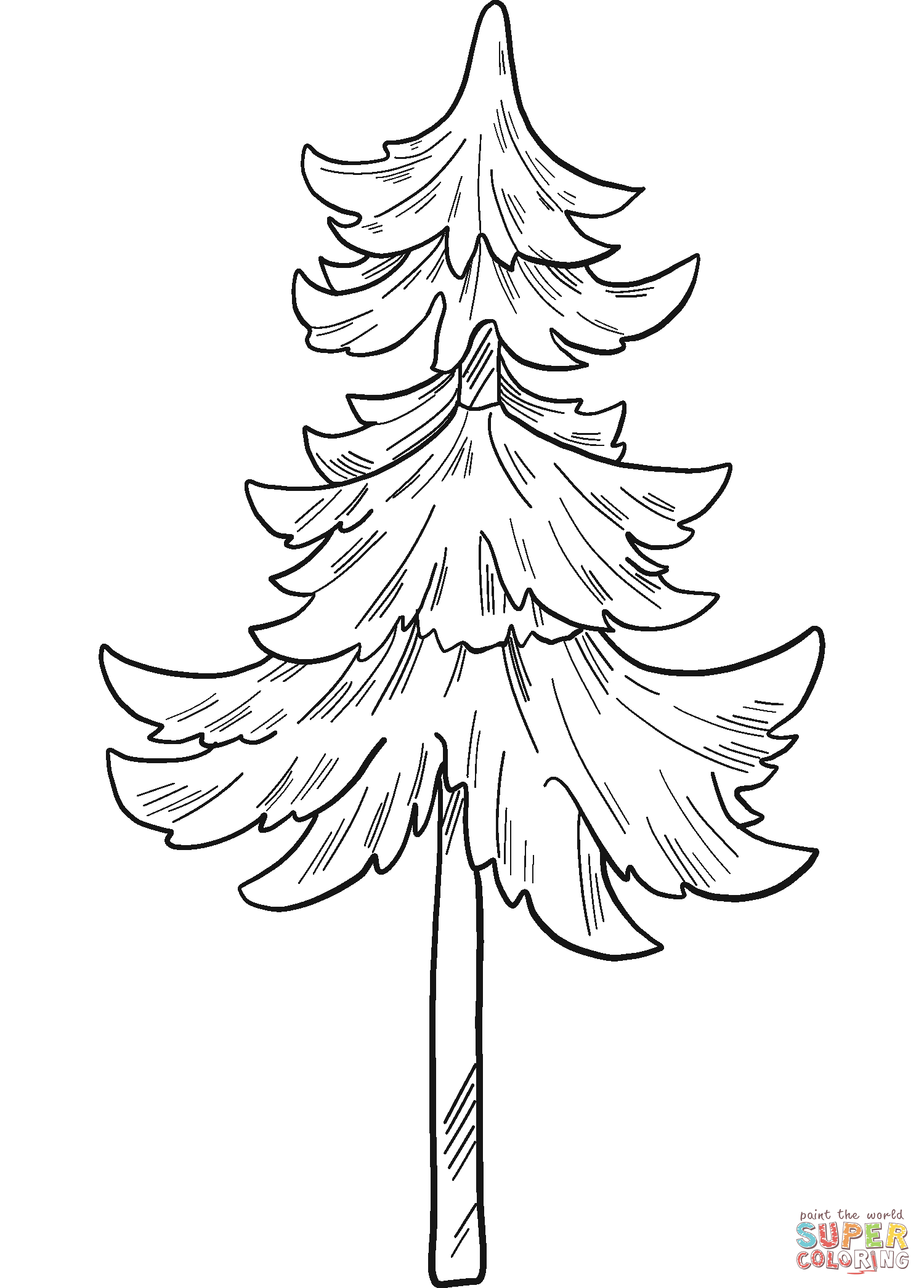 Evergreen tree coloring page free printable coloring pages