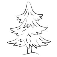 Evergreen tree coloring pages