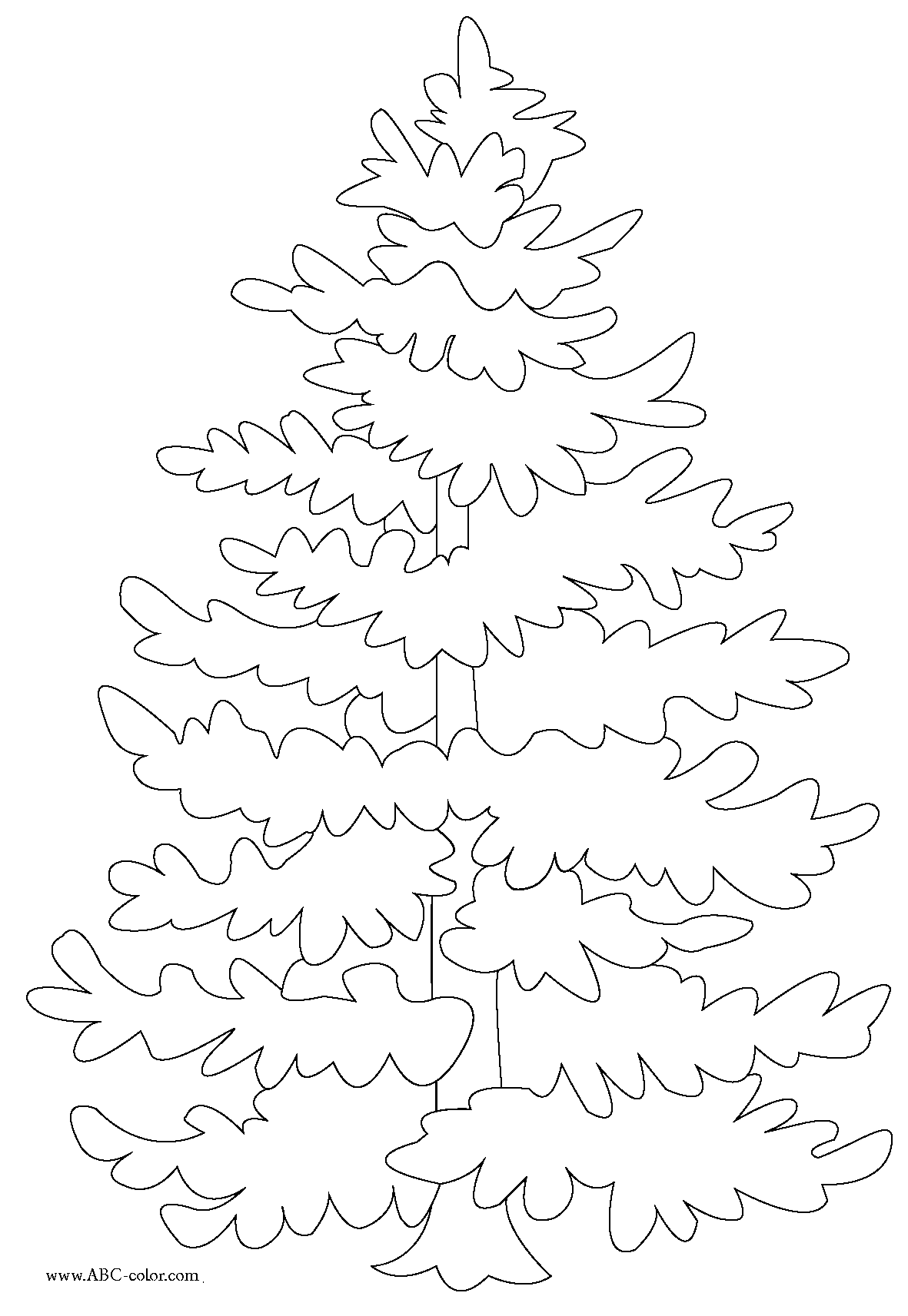 Evergreen tree coloring page tree coloring page christmas coloring pages christmas card art