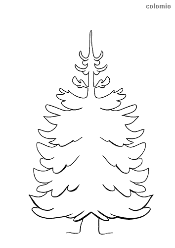 Pinetree coloring pages free printable pinetree coloring sheets