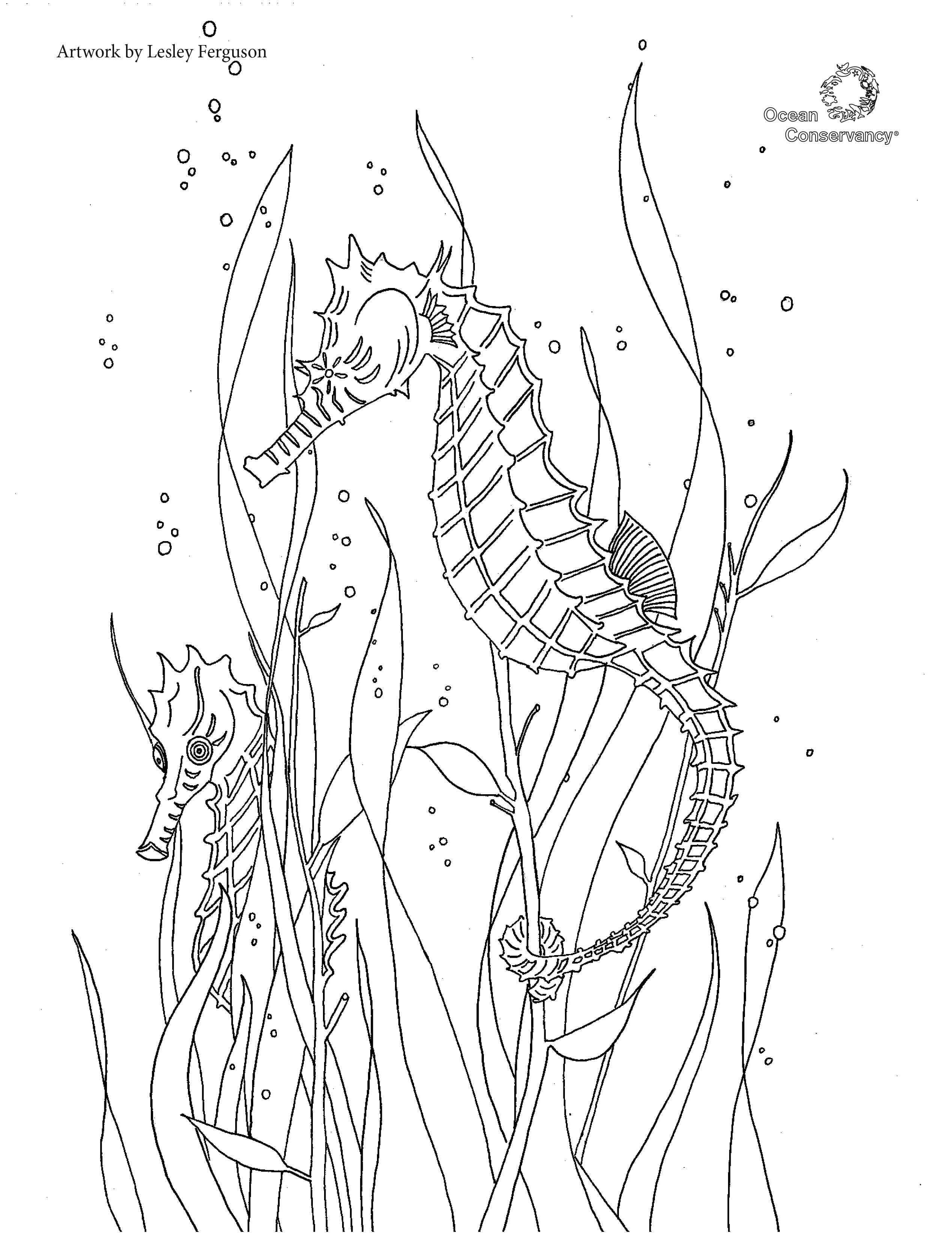 Sustainable fisheries fish coloring pages