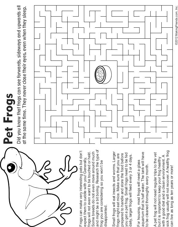 Pet frog maze fact and coloring page pet frogs brownie pet badge pets