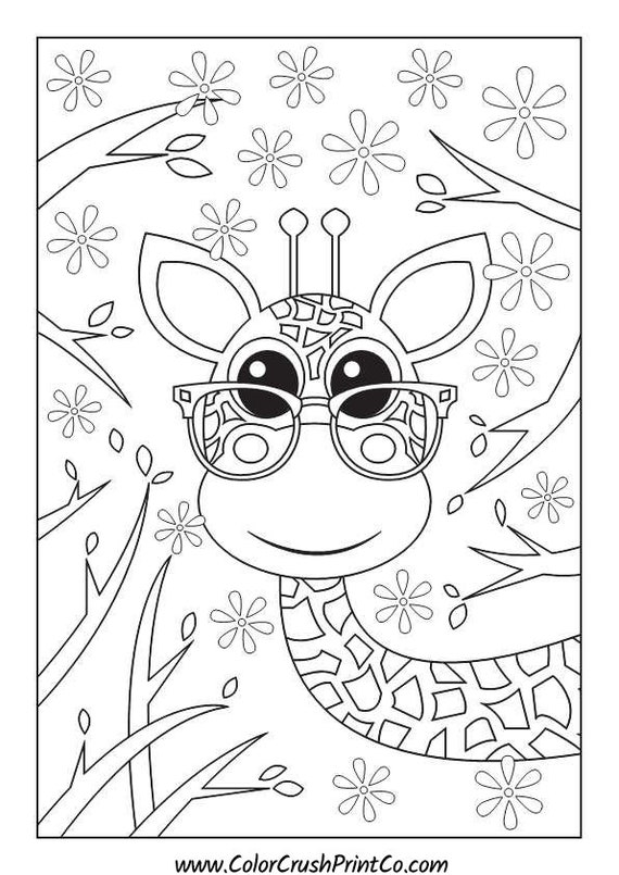 Pages animals with glasses coloring book pages bundle download and print yourself