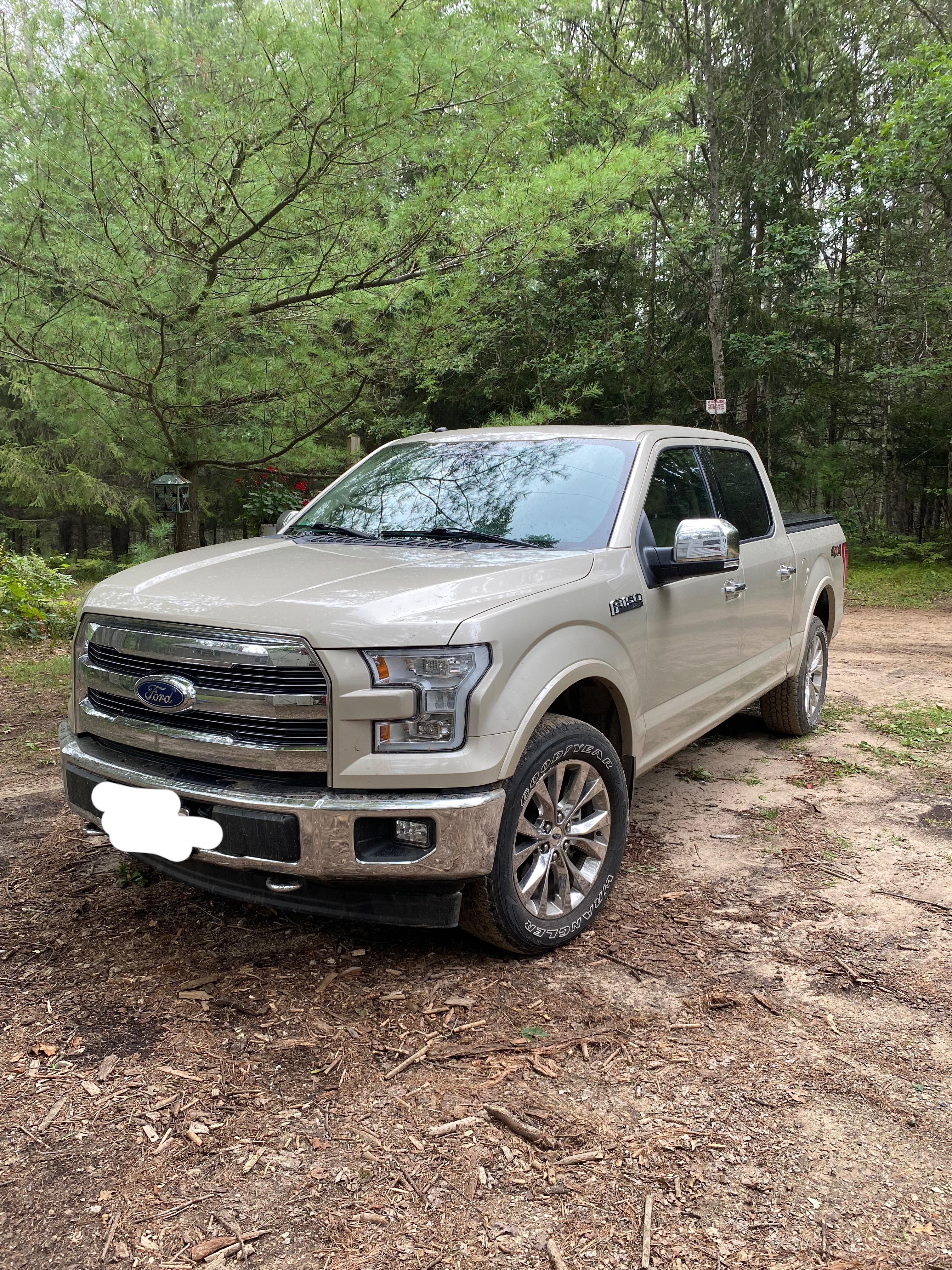 Hello f in white gold im starting to look at wheels and i was wondering if anyone has seen any goodinteresting color binations with the white gold body color looking forward