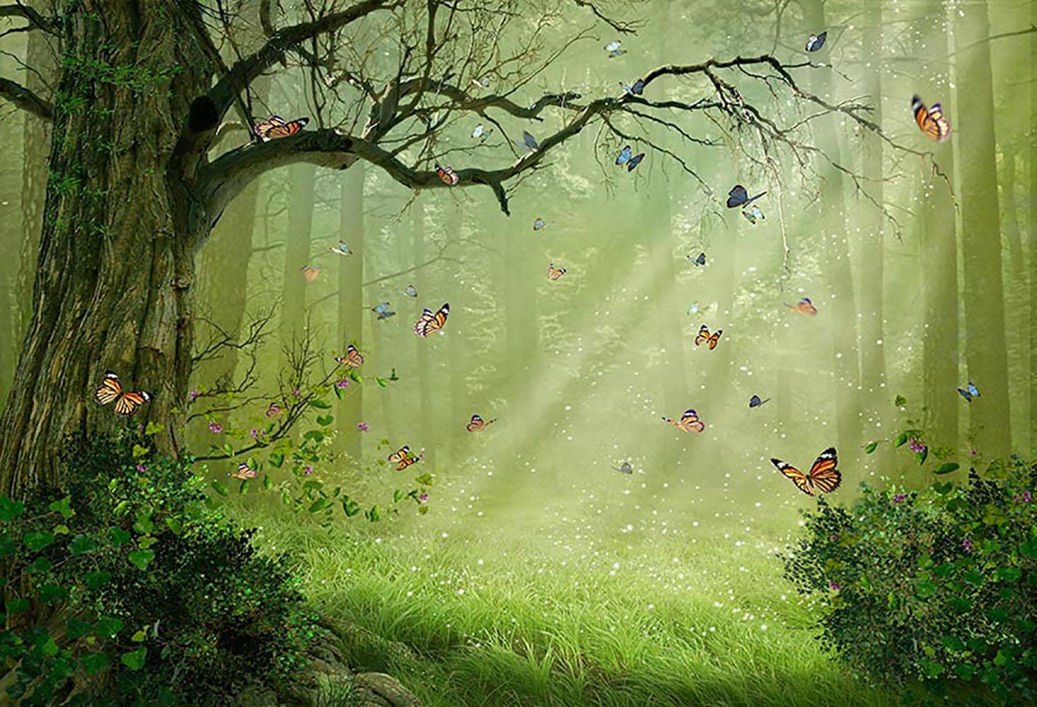 Download Free Fairy Enchanted Forest Background