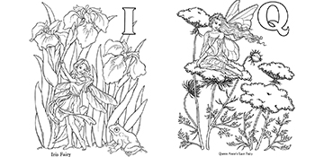 Garden fairy alphabet coloring book may darcy toys games