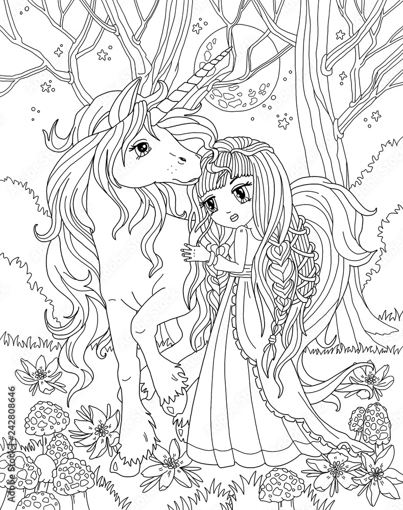 Coloring page the fairy and unicorn illustration