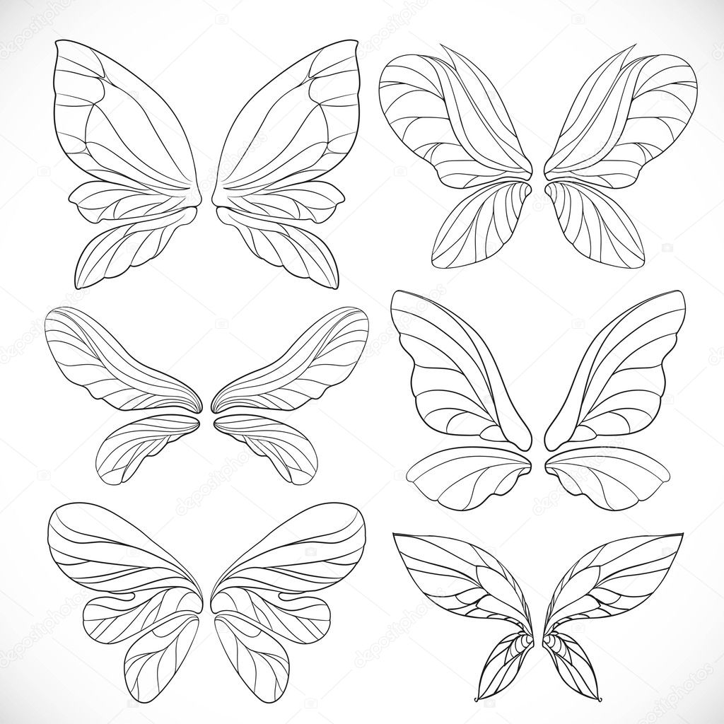 Fairy wings outlines set isolated on a white background stock vector by yadviga