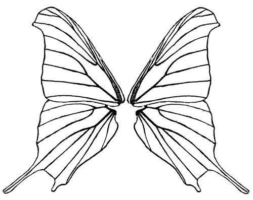 Butterfly wings butterfly coloring page butterfly wings butterfly wings art