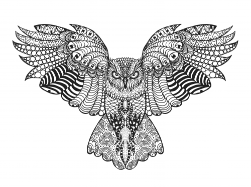 Falcon advanced coloring page