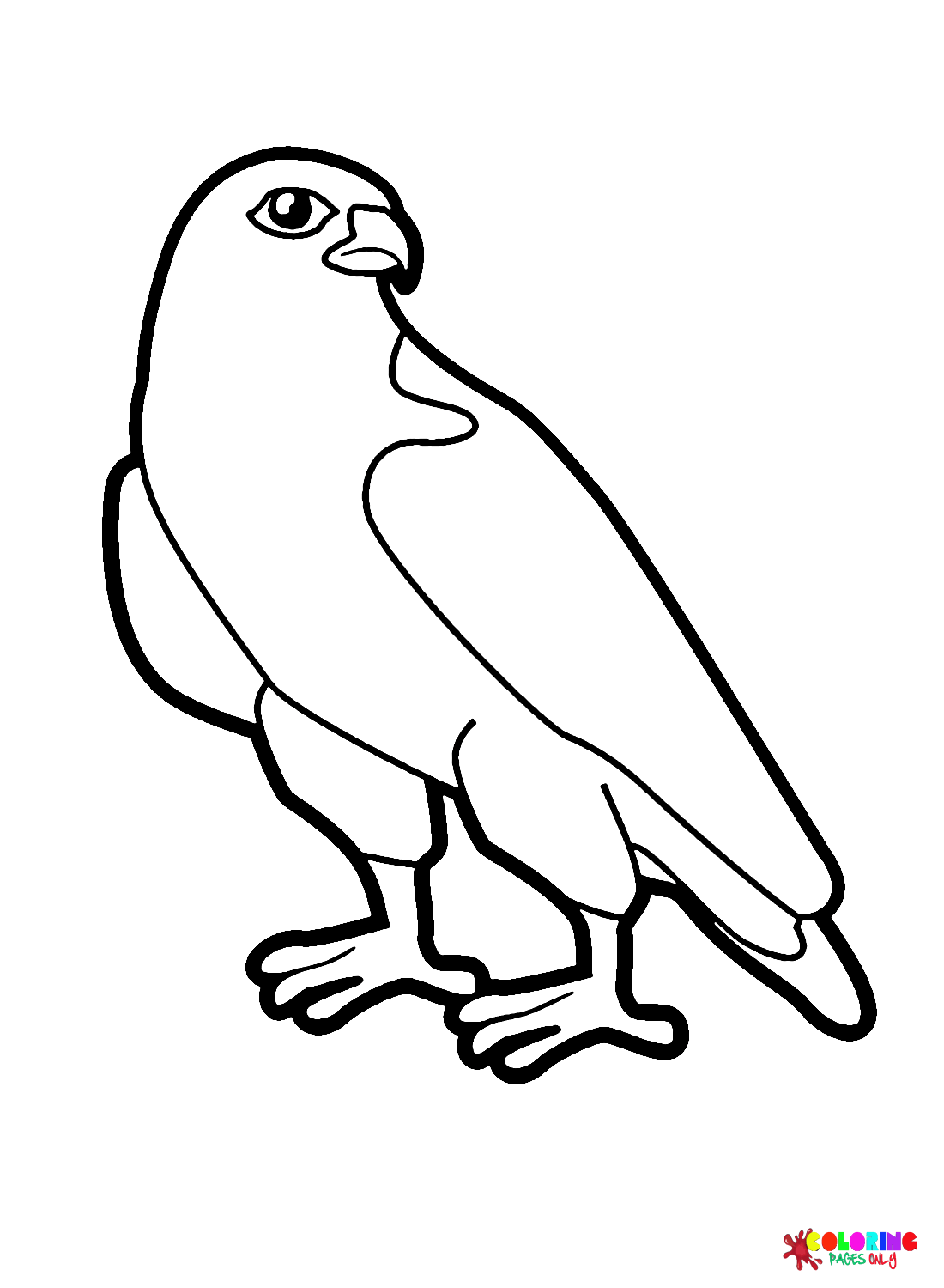 Falcon coloring pages printable for free download