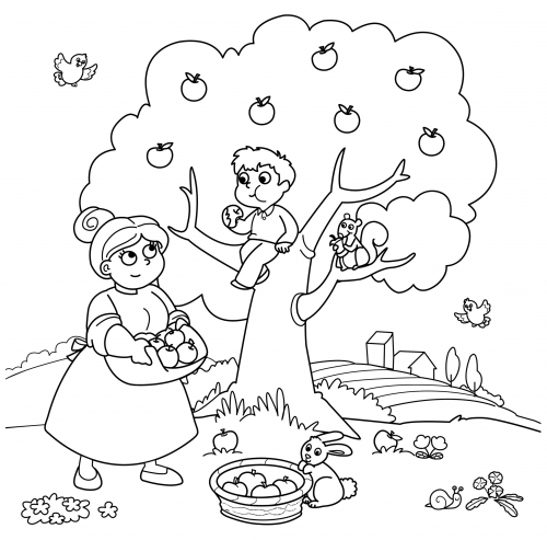 Advanced coloring page â picking apples