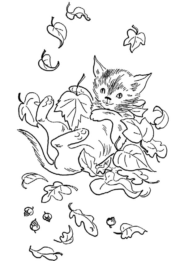 Free printable fall coloring pages for kids