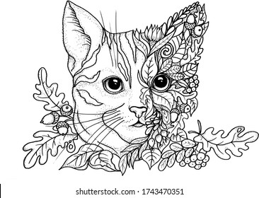 Coloring pages children adults abstract cat stock illustration