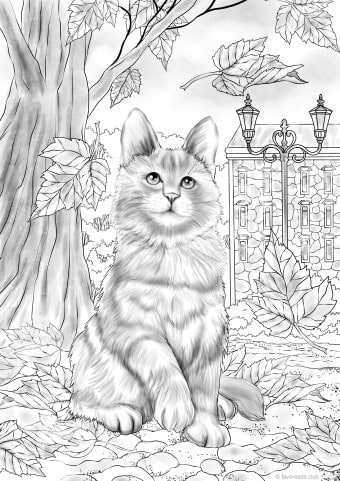 Autumn kitty â favoreads coloring club