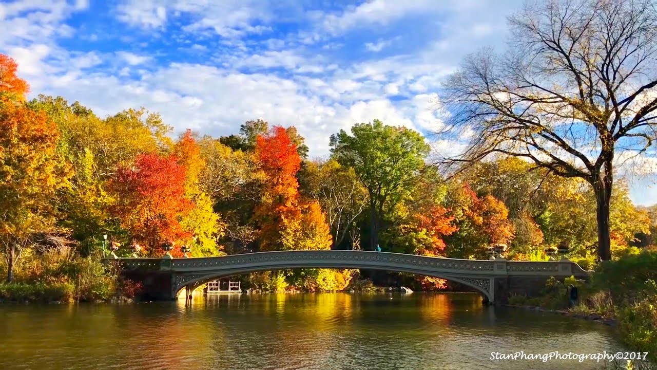 Download Free 100 + fall central park