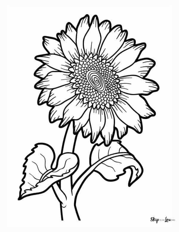 Flower coloring pages skip to my lou