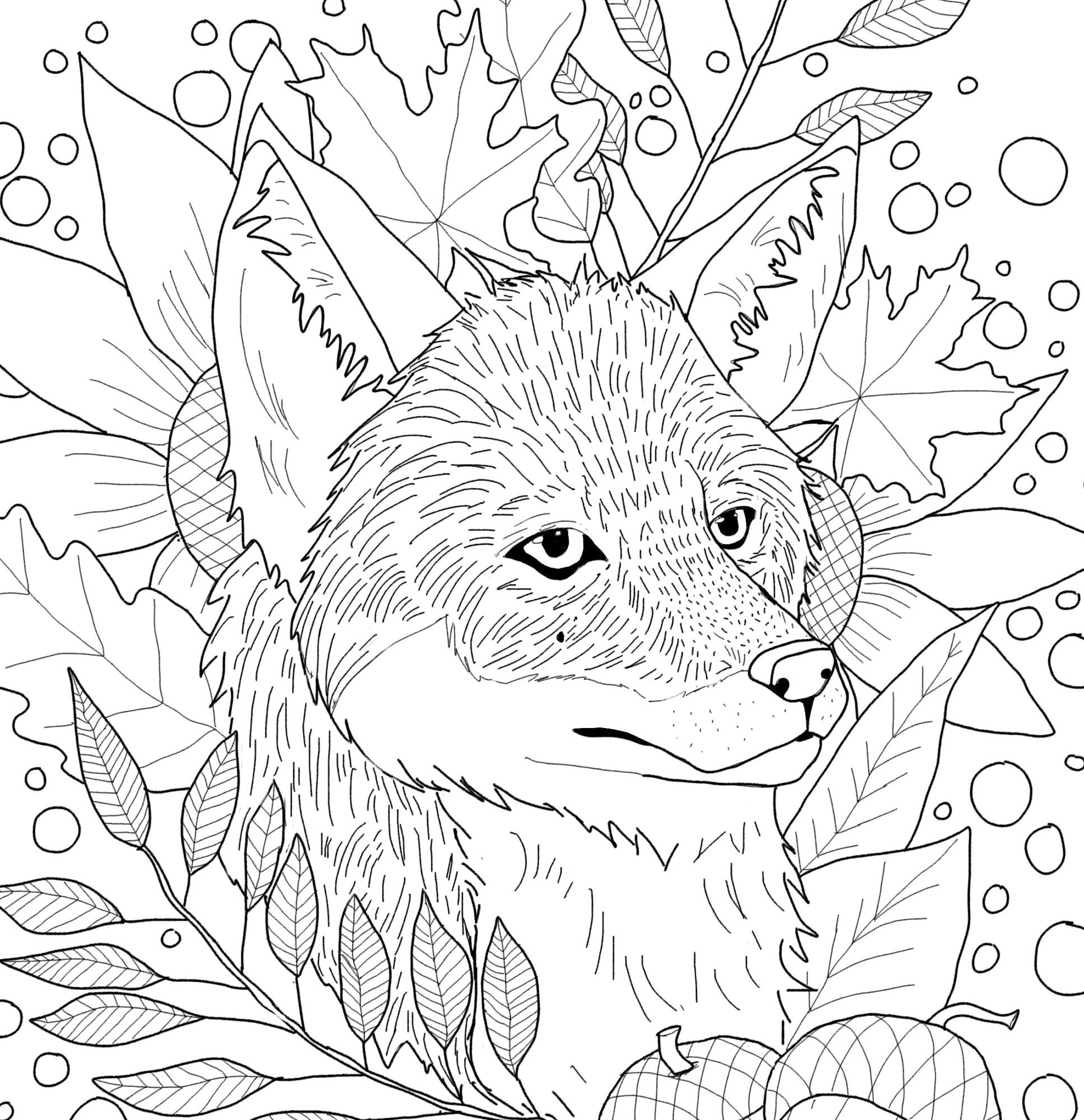 Fall fox downloadable coloring page