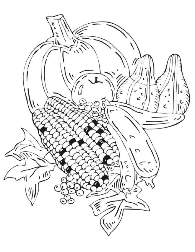 Harvest coloring page corn pumpkin other harvest foods fall coloring sheets fall coloring pages coloring pages