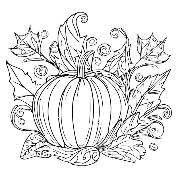 Premium vector fall harvest coloring sheet autumn harvest for thanksgiving day autumn leaf line drawings