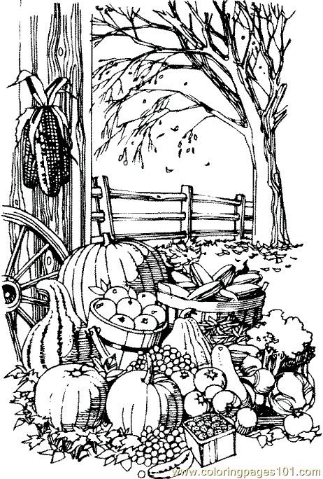 Fall coloring pages printable coloring pages fall harvest natural world autumn