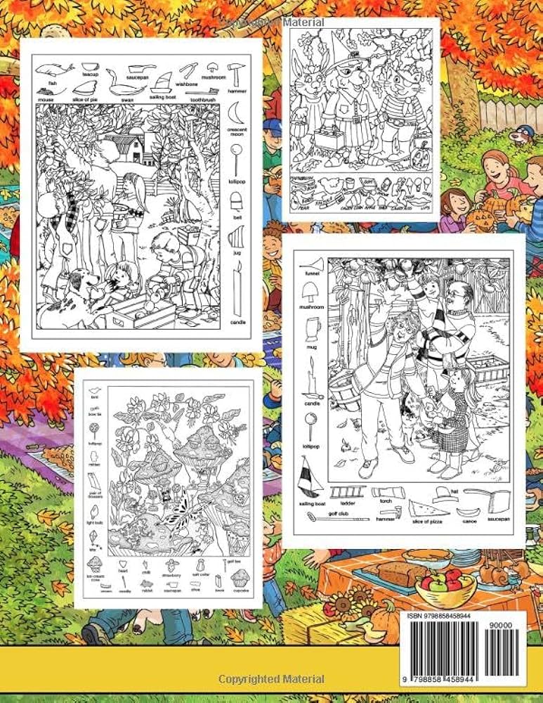 Autumn hidden objects picture book seek and find missing pieces the hidden objects in the pictures fall season coloring pages challenge activities for boys girls relaxation gareth