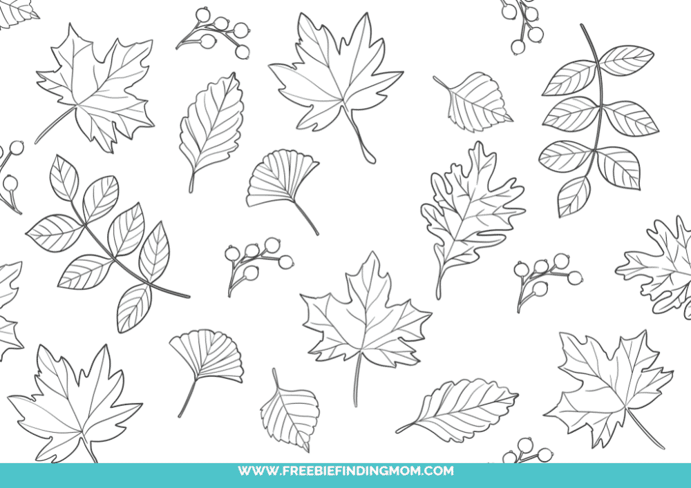 Free printable fall leaves coloring pages