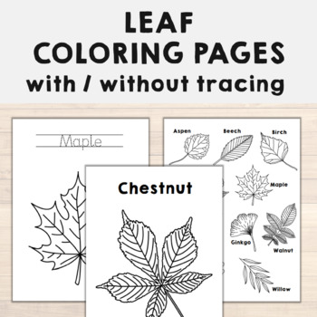 Leaf coloring pages fall autumn leaves printable craft activity with tracing