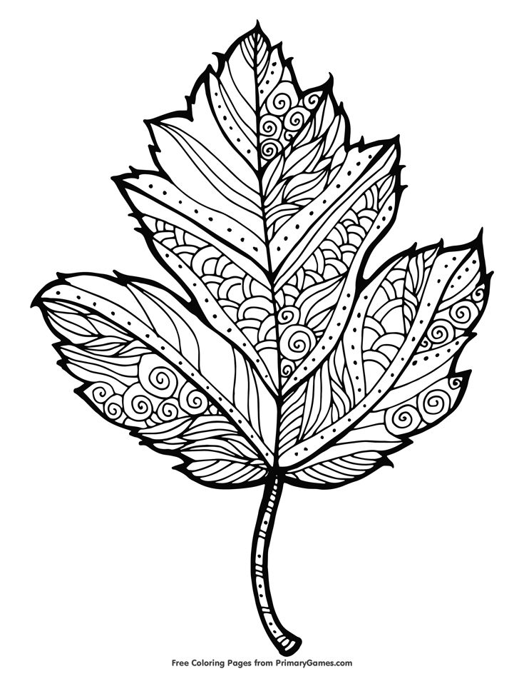 Maple leaf coloring page â free printable ebook leaf coloring page fall coloring pages fall leaves coloring pages