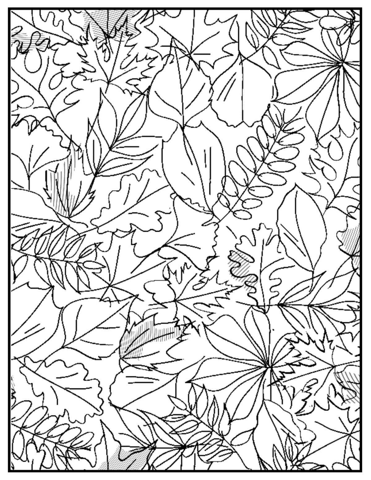 Free printable fall coloring pages