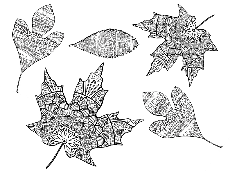 Fall leaves coloring pages more