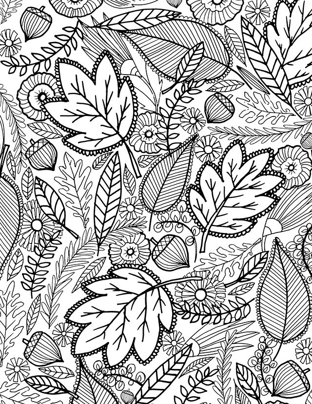 Autumn adult coloring page